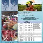 Harga Sembako di Kab. Kerinci
